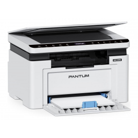 Pantum BM2309W